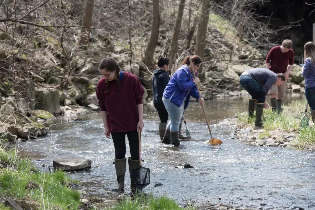 Students examine a creek at Canfield Preserve
